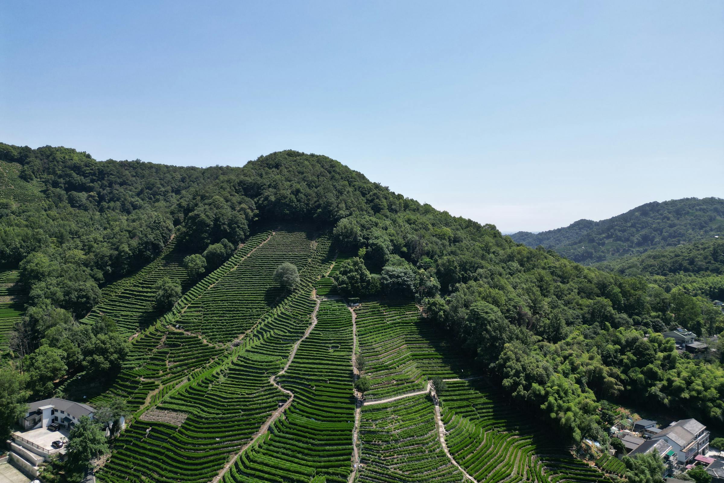 苏州洞庭山
